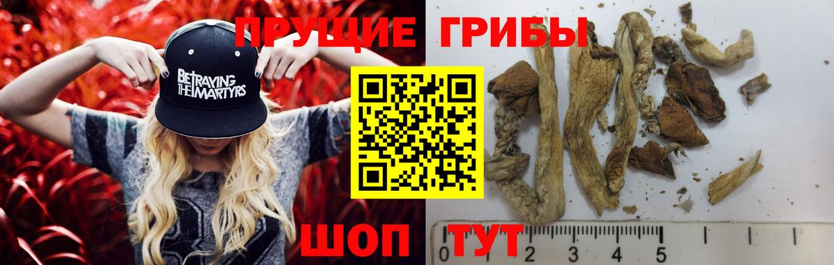 Псилоцибиновые грибы MAGIC MUSHROOMS  Вход с VPN  наркота  Новотроицк 