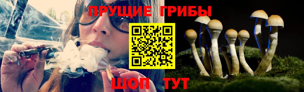 Галлюциногенные грибы мухоморы Новотроицк